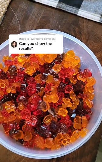 Homemade Gummy Fruit Snacks